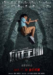 巴洛波拉