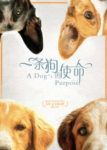 珍珠港2001